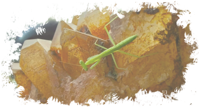 Sharpening Awareness